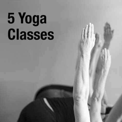 5 x Yoga Class