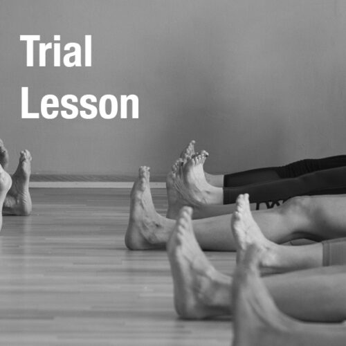 Trial Lesson